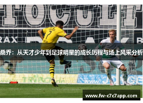 桑乔：从天才少年到足球明星的成长历程与场上风采分析