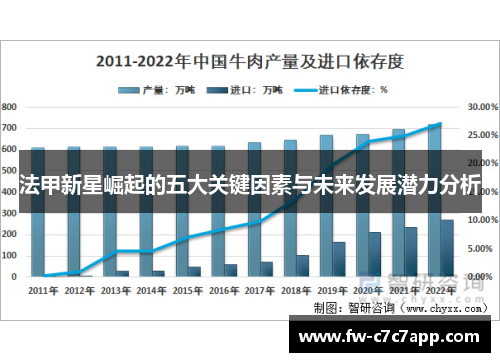 法甲新星崛起的五大关键因素与未来发展潜力分析