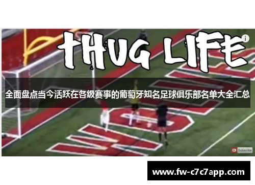 全面盘点当今活跃在各级赛事的葡萄牙知名足球俱乐部名单大全汇总 全面盘点当今活跃在各级赛事的葡萄牙知名足球俱乐部名单大全汇总