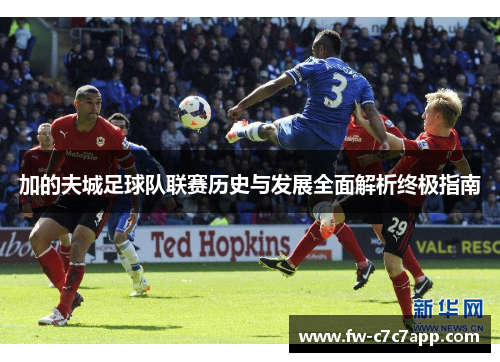 加的夫城足球队联赛历史与发展全面解析终极指南 加的夫城足球队联赛历史与发展全面解析终极指南