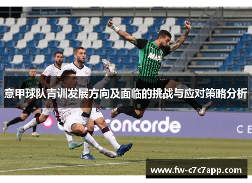 意甲球队青训发展方向及面临的挑战与应对策略分析