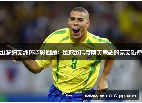 维罗纳美洲杯精彩回顾：足球激情与南美荣耀的完美碰撞